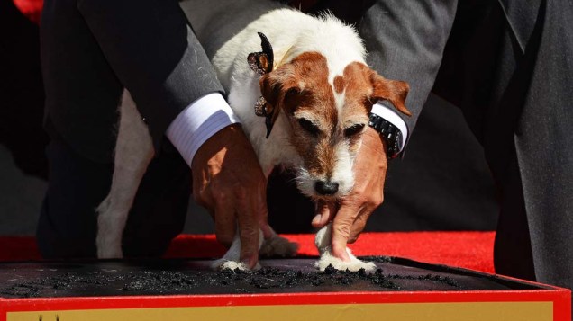 O cachorro Uggie fez sua assinatura na calçada da fama