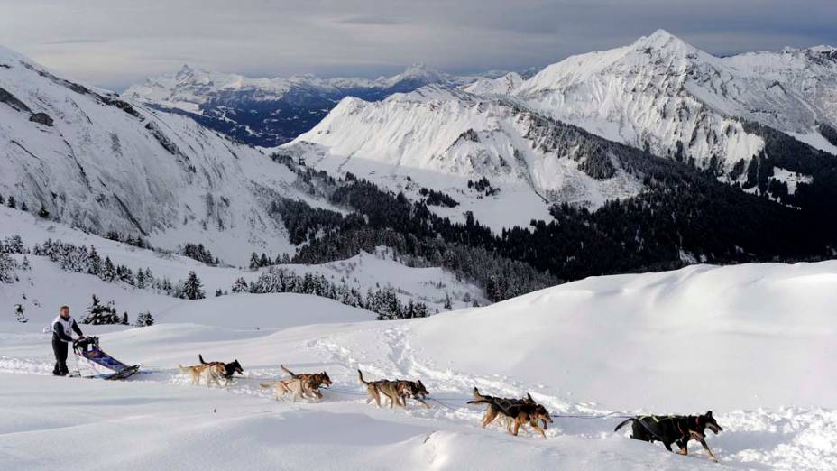 Cachorros participam da quarta etapa da “Grande Odyssee”, Suíça. A competição dura 11 dias e percorre mil quilômetros