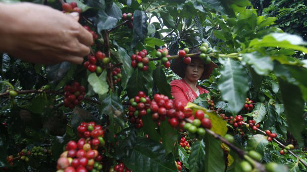 Do tarifaço ao alívio: Brasil volta ao jogo no mercado americano