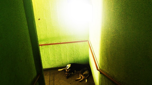 Sol espera a dona, Sanderli Leite, na escada do hotel