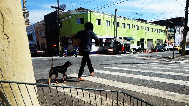 Cachorros e seus donos na região da Cracolândia
