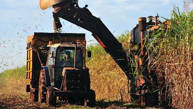 Subsídios financeiros são para produtores de cana-de-açúcar e etanol