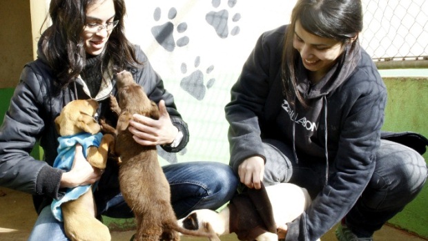 Eles receberam cem cobertas e 150 roupinhas para cachorros