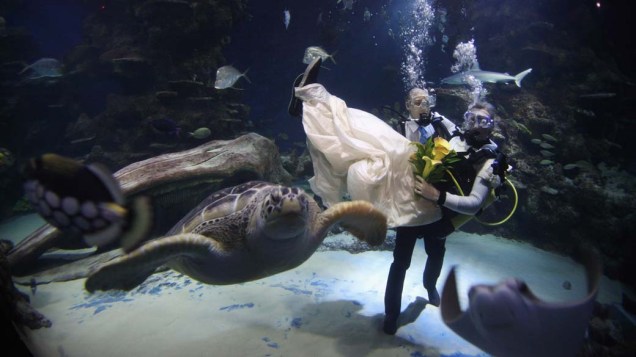 Em Londres, funcionários do aquário Ocean Reef se casam no Dia dos Namorados