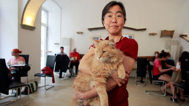 Takako Ishimitsu, dona do café que permite a entrada de gatos em Viena