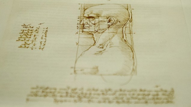Os desenhos, caráter artístico e científico, foram realizados entre 1478 e 1516