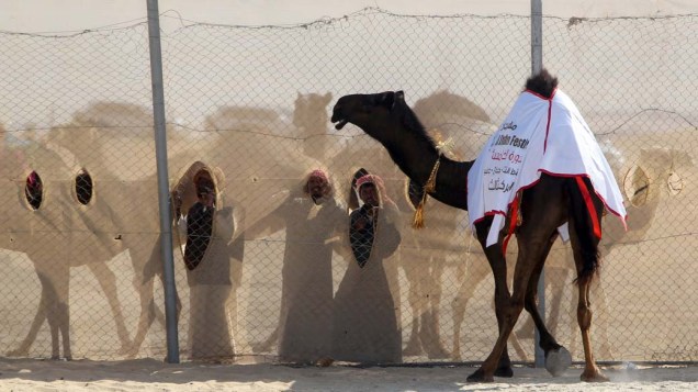 Homens assistem festival de camelos "Mazayin Dhafra" no deserto de Abu Dhabi, Emirados Árabes Unidos