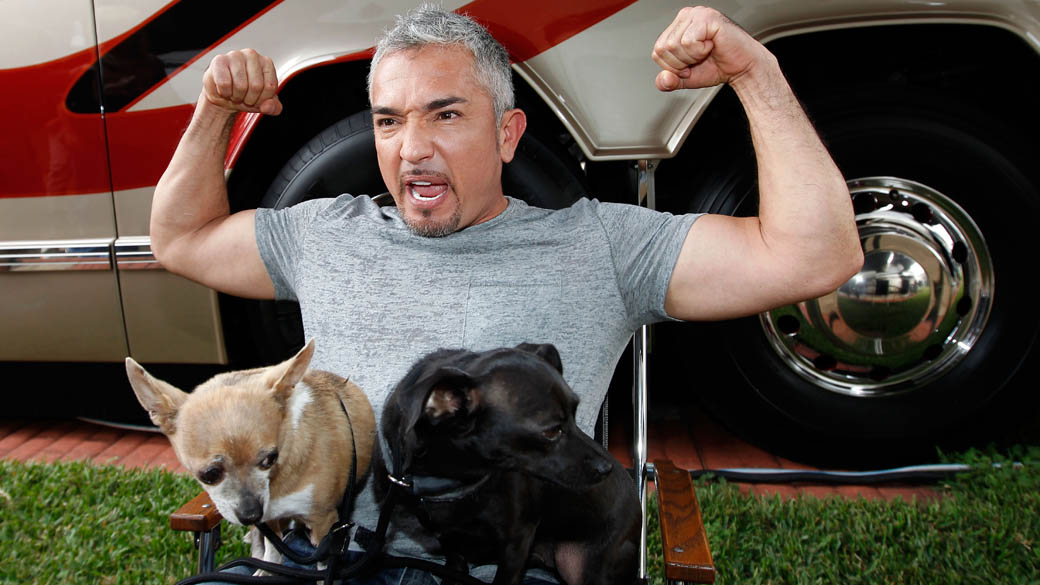 Cesar Millan