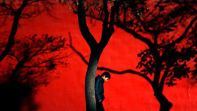 Homem caminha entre árvores em um dia ensolarado, na cidade de Pequim (China)