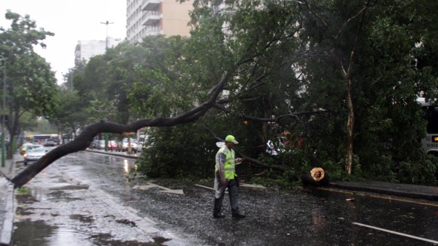 Árvore cai e atinge ônibus na Rua 28 de Setembro, em Vila Isabel, no Rio de Janeiro
