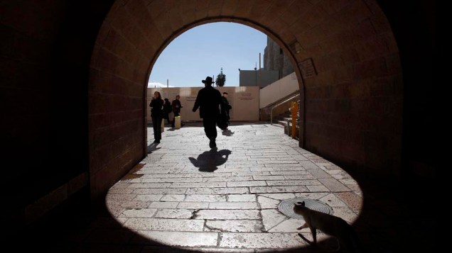 Gato segue homem pelas ruas de Jerusalém, em Israel