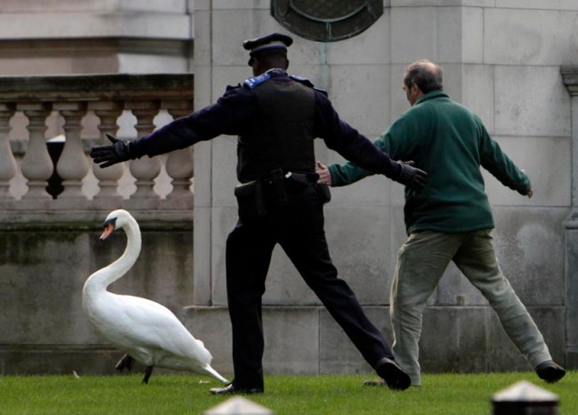 Policial ajuda funcionário do Royal Parks a capturar um ganso que fugiu, em Londres