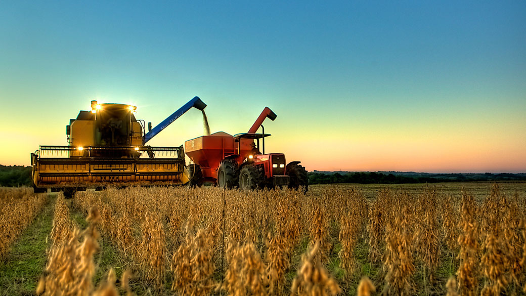 Juntas, culturas de arroz, milho e soja representam 92,1% da produção total de grãos no Brasil