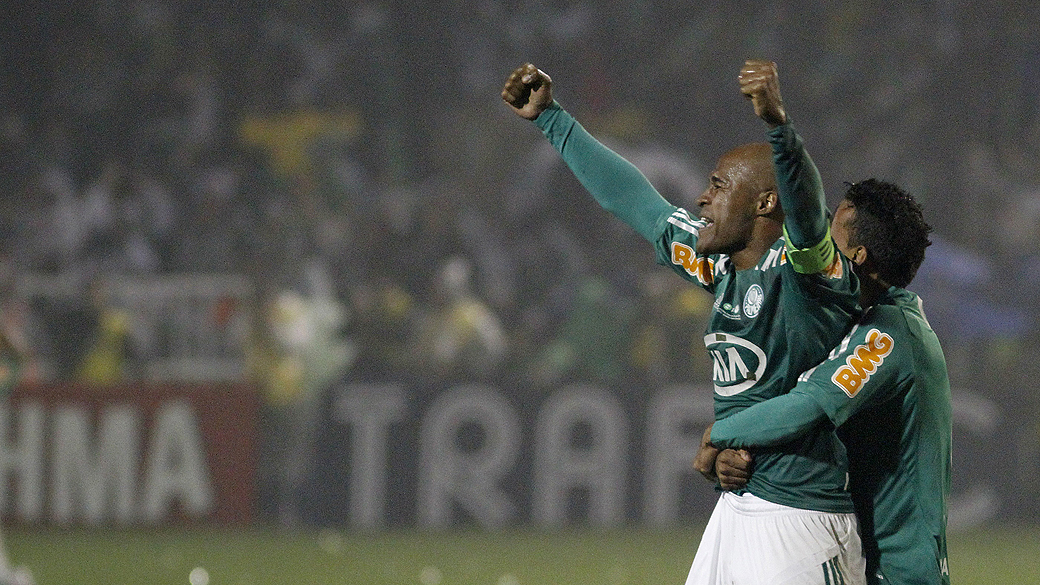 Marcos Assunção comemora gol do Palmeiras