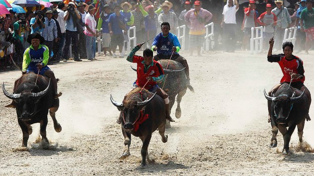Competidores durante corrida anual de búfalos na província de Chonburi, ao sul de Bangcoc, na Tailândia