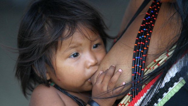 Bebê da tribo Nambikuara mama no peito da mãe, em Fortaleza (CE)