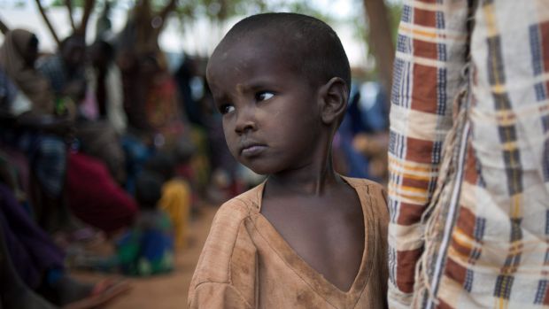 Sem ajuda, 780.000 crianças morrerão de fome na Somália