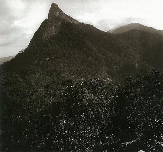O Corcovado visto do bairro da Glória, em 1922: montanha coberta por Mata Atlântica.