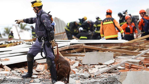O trabalho dos cães farejadores tem tempo limite de 20 minutos a cada incursão nos escombros
