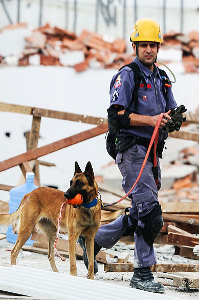 Bombeiros buscam vítimas nos escombros do prédio que caiu em São Mateus com a ajuda de cães farejadores