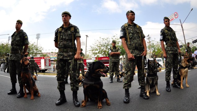 Canil do exército acompanha o desfile de 7 de setembro, em São Paulo