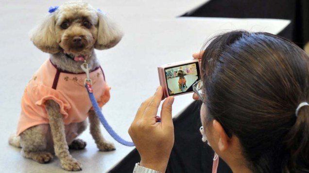 Em Tóquio, no Japão, acontece feira de moda para animais de estimação