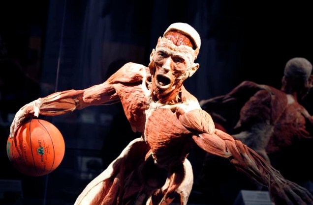 Em Istambul, na Turquia, uma figura humana jogando basquete faz parte da exposição Koerperwelten, do anatomista alemão Gunther Von Hagen. A mostra reúne cerca de 200 corpos humanos verdadeiros, conservados com seus órgãos e tecidos.