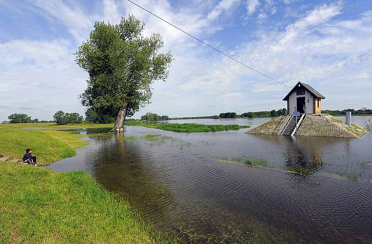 Criança observa área alagada próxima ao rio Oder, na fronteira entre a Alemanha e a Polônia. Autoridades locais preparam-se para receber o maior nível de água nesta semana. As fortes chuvas que atingem os países já causaram dez mortes e prejuízos de cerca de dois bilhões de euros.