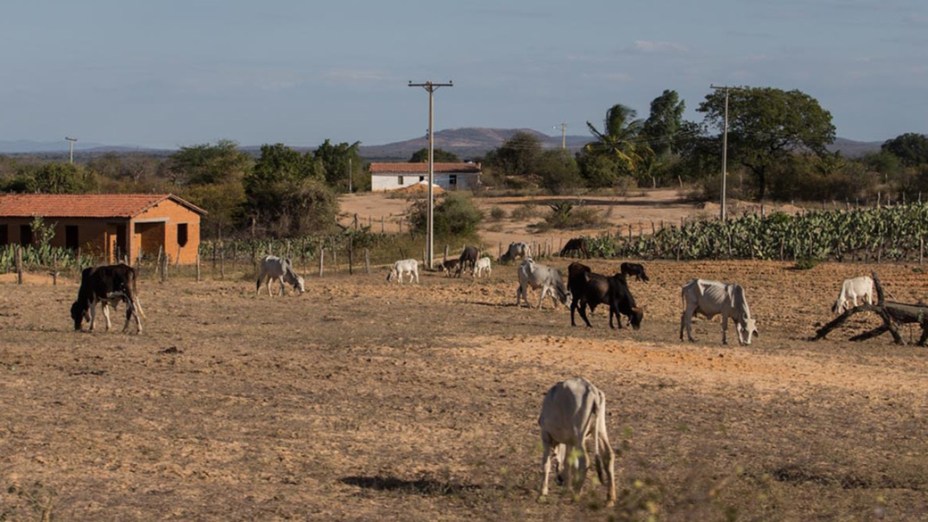 Expedição Veja na estrada próximo a cidade de Brumado rumo à cidade de Janaúba (MG)