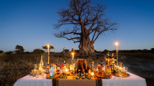 Mombo Camp, em Botsuana, foi escolhido o melhor hotel do mundo pela Travel + Leisure