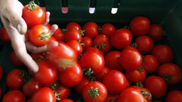 economia-inflacao-feira-tomate-20130503-06-original.jpeg