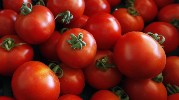 Venda de tomates em feira livre