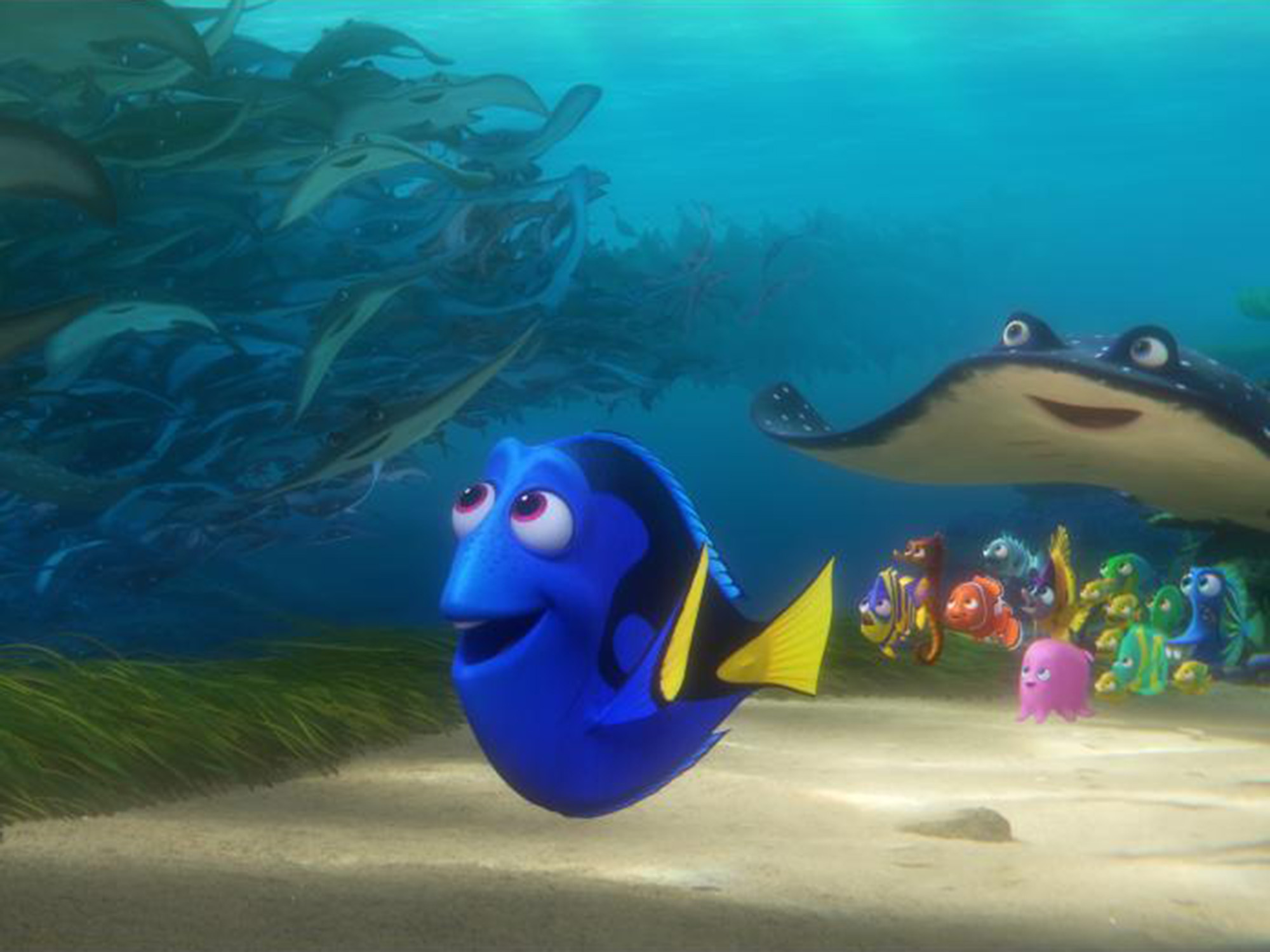 ‘Procurando Dory’: Maior Bilheteria De Uma Animação Nos EUA | VEJA