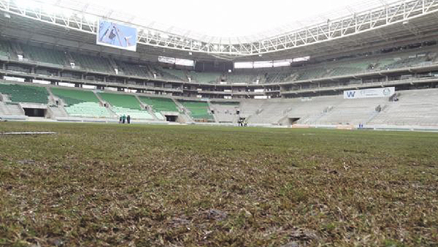 Visão geral do gramado e cadeiras