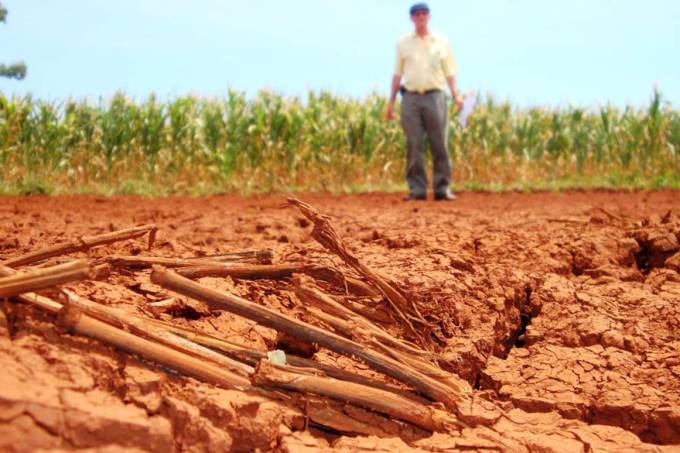 Seca no RS diminui projeção de grãos, mas safra 2023 ainda aponta recorde