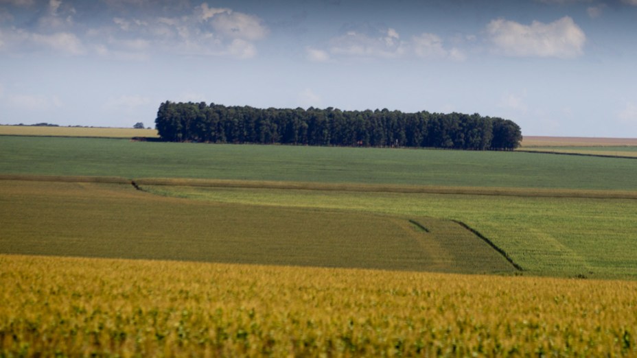 Atividade agrícola às margens da BR163, região de Bandeirantes (MS)