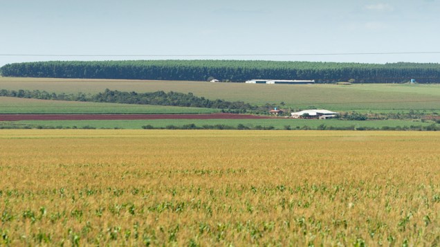 Atividade agrícola às margens da BR163, região de Bandeirantes (MS)