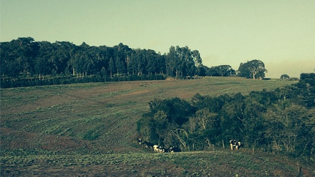 Expedição VEJA - Na foto, paisagens ao oeste do Paraná