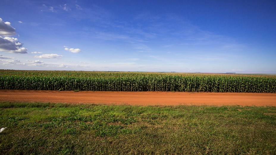 Expedição Veja. Na foto plantação de milho, na região de Coxim (MS)