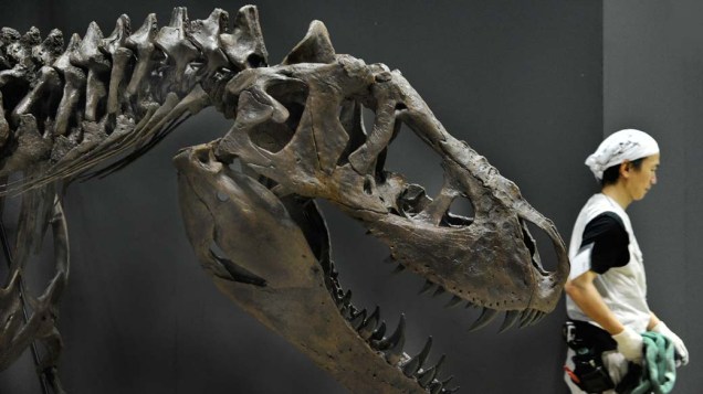 Em Tóquio, exposição de dinossauros no Museu Nacional da Natureza e Ciência