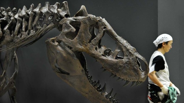Em Tóquio, exposição de dinossauros no Museu Nacional da Natureza e Ciência Em Tóquio, exposição de dinossauros no Museu Nacional da Natureza e Ciência