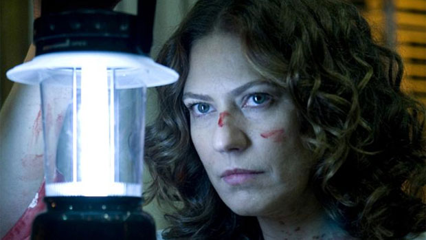 Uma vida de folhetins