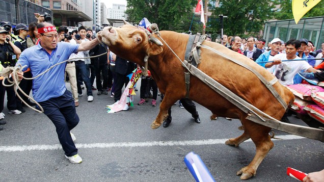 Cerca de 4 mil fazendeiros foram às ruas protestar contra a queda no preço da compra da carne bovina, na Coreia do Sul
