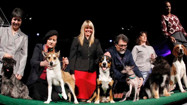 As seis raças que aparecem pela primeira vez no 136º Show de Cães do Clube "Westminster Kennel" em Nova York
