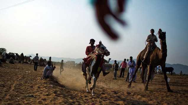 Corrida entre um cavalo e um camelo durante a feira de Pushkar, Índia