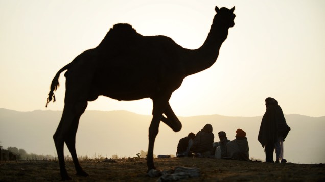 Proprietários de camelos descansam sobre o cume de uma colina nos arredores da cidade de Pushkar, Índia