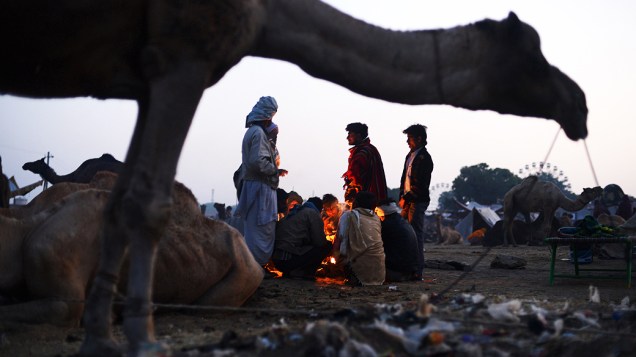 A feira anual de camelos em Pushkar, acontece no período mais frio do ano na região com temperaturas na média dos 10°C
