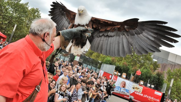 Homem se apresenta com um falcão na entrada da feira de fotografia Photokina, em Colônia, Alemanha