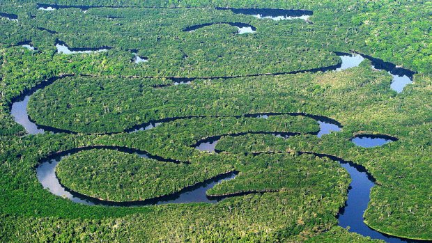 Vista aérea da floresta amazônica