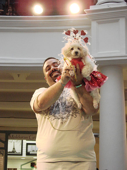 A poodle Ludymila foi a vencedora do Cãocurso